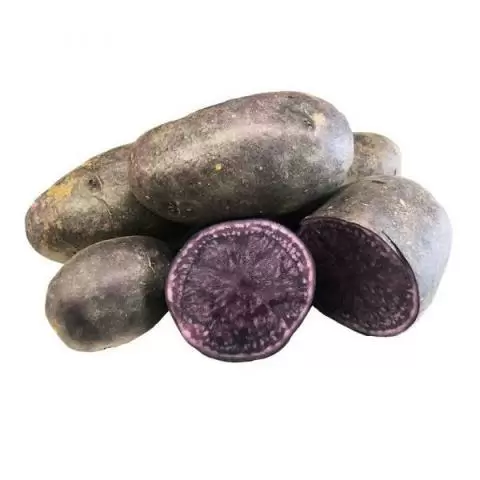 Buy Vitelotte Potatoes Online U K