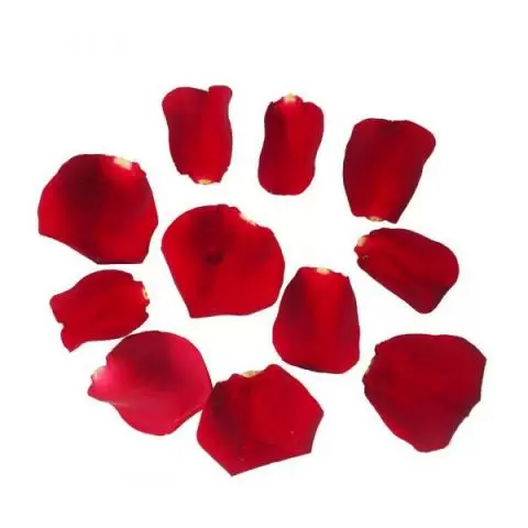 Buy Edible Rose Petals Online Uk London