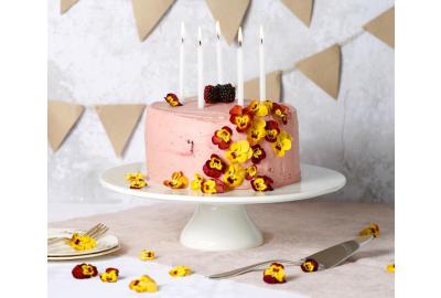 Rich Chocolate Cake with Blackberry Buttercream