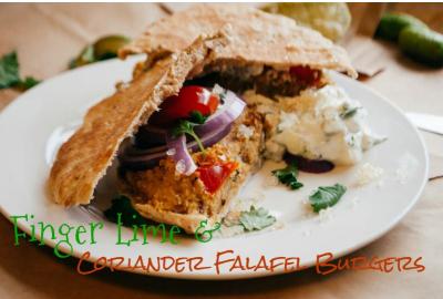 Finger Lime and Coriander Falafel Burgers with a Lime Yoghurt Dip