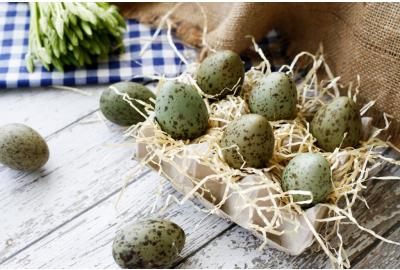 Wild Gull's Eggs