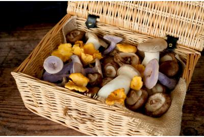 Our favourite mushroom dishes this autumn