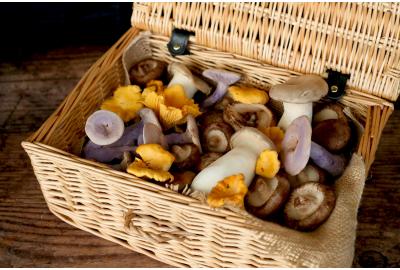 Our favourite mushroom dishes this autumn | Blog