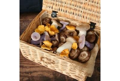 Our favourite mushroom dishes this autumn