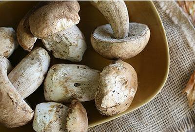 porcini mushrooms on a blue tablecloth