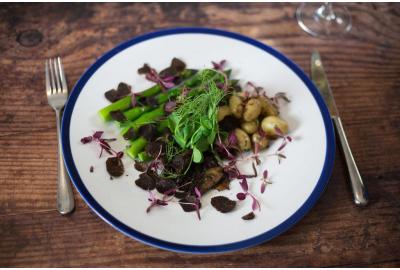 Seasonal Spring Salad with Perigord Truffle Recipe | Drogo’s Kitchen