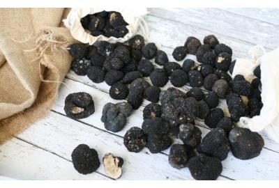 Enjoy Luxury Truffles This Summer