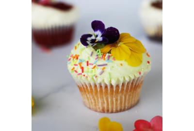 Viola Cupcake