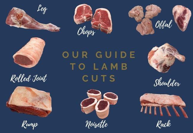 lamb meat cuts chart