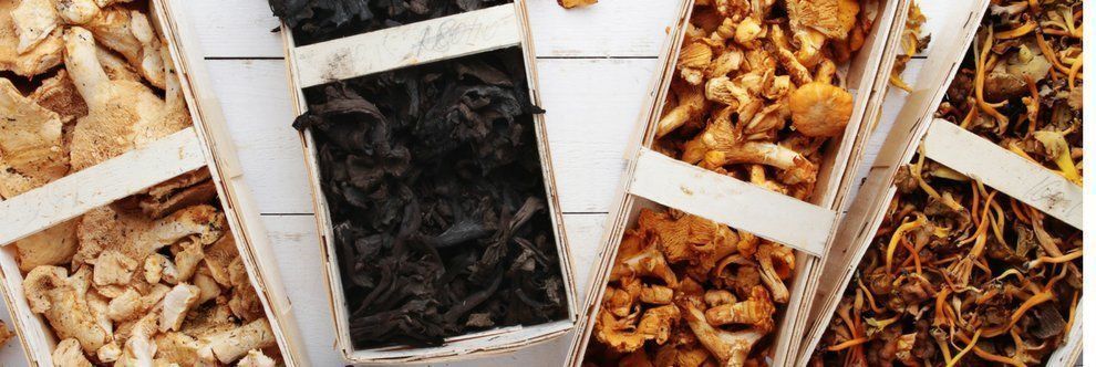 Dried Mushrooms