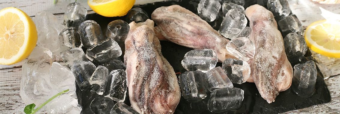 Frozen Fish & Seafood