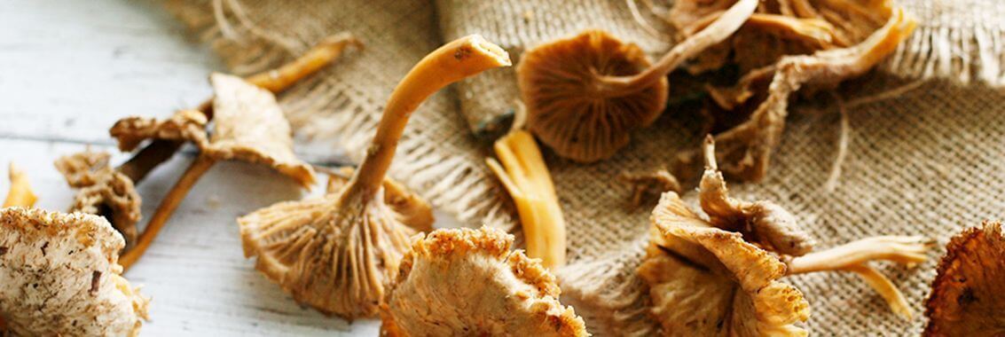 Girolles Mushrooms