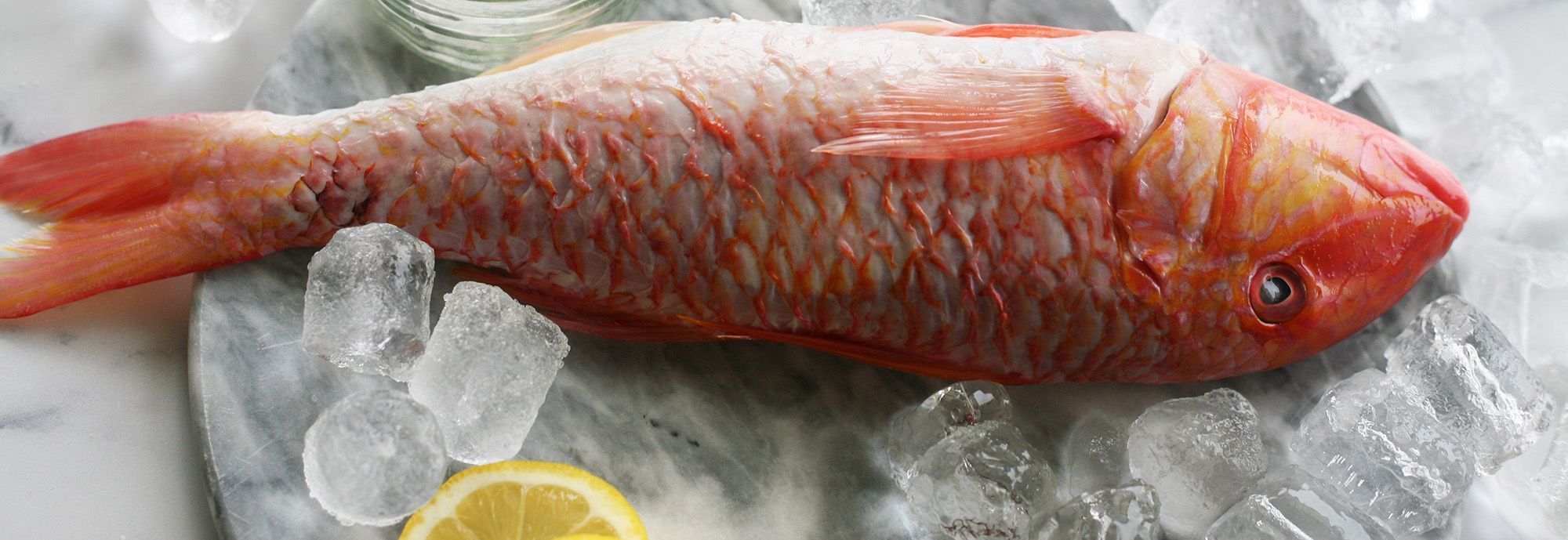 Frozen Fish
