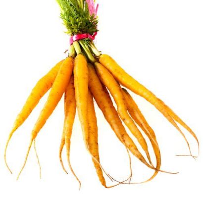 Baby Carrots, Yellow, x 3 Bunches