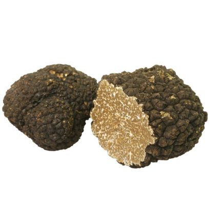 Buy Autumn Black Truffle online and in London UK