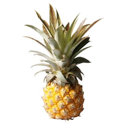 Baby Pineapple, Fresh