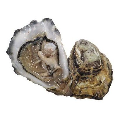 Maldon Oysters, Fresh, x 25