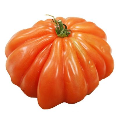 Coeur de Boeuf Tomatoes, +/- 2kg 