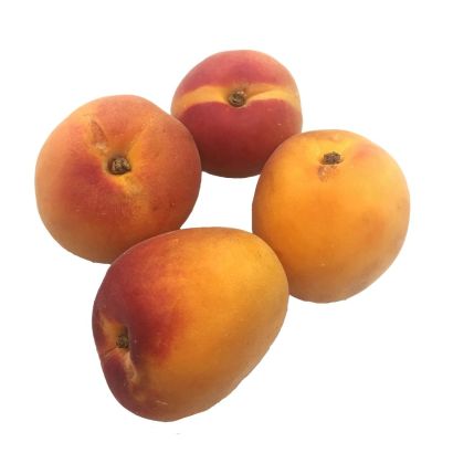 French Apricots, Fresh, +/-2kg