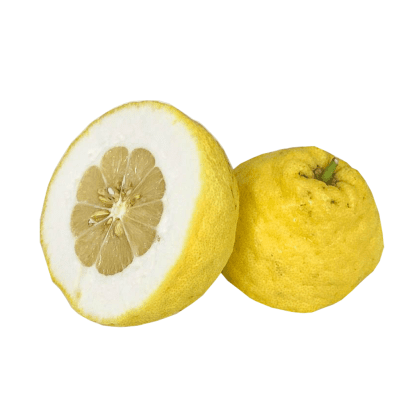 Giant Cedro Lemons
