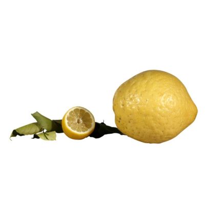 Buy Amalfi Sorrento Lemon Online in London UK