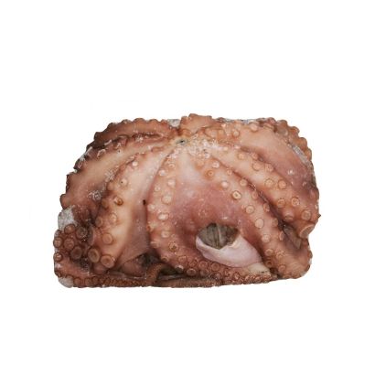 Spanish Octopus, Raw, Frozen, 1-2kg