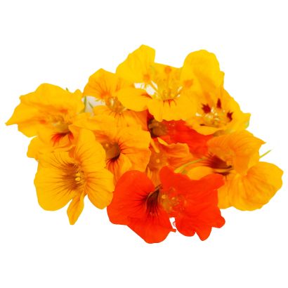Orange Nasturtium Flowers, 1 x Punnet