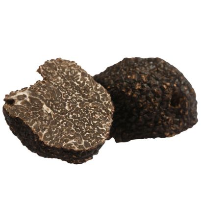 Buy Fresh Perigord Black Truffles Melanosporum Online London