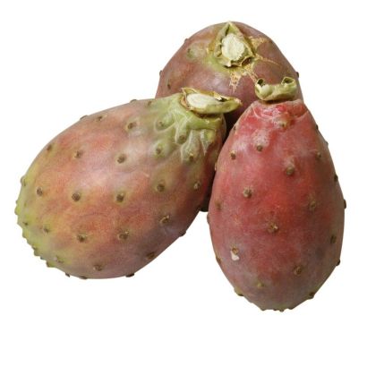 Prickly Pears, x 9 Heads