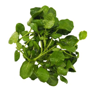 Watercress, x 3 Bunches