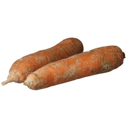 Buy Sand Carrots Online in London UK