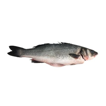 Buy Sea Bass Sashimi Grade Online in London UK