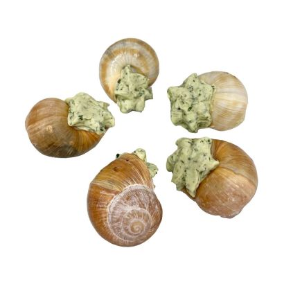 Snail in their shells with garlic butter