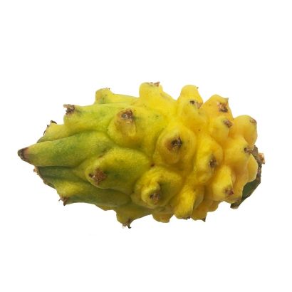 Yellow Dragon Fruit (Pitaya), Fresh x 2