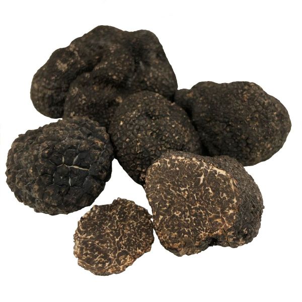 Buy Fresh Perigord Black Truffles Melanosporum Online London