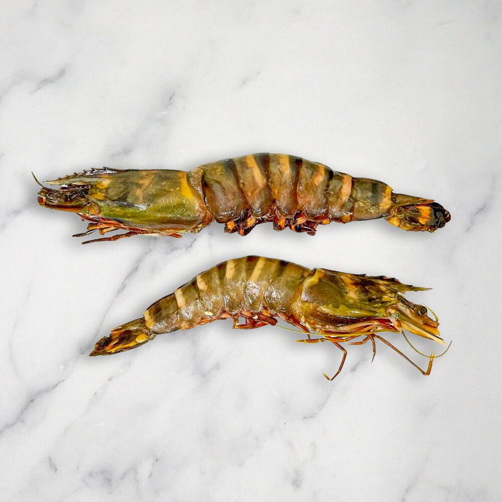 Jumbo Tiger Prawns