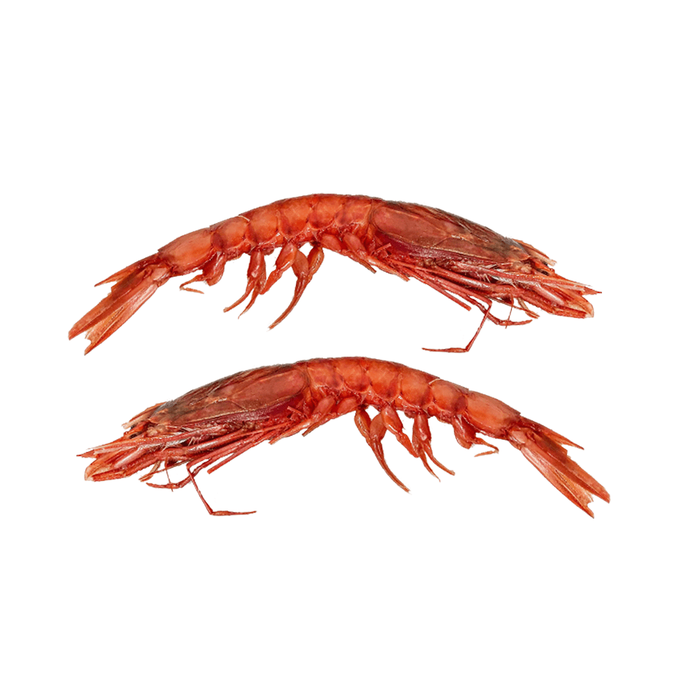 Sicilian Gambero Rosso Prawns