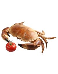 Brown Crab, Fresh, 2 x +/-1kg 