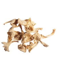 Girolle Mushrooms, Dried