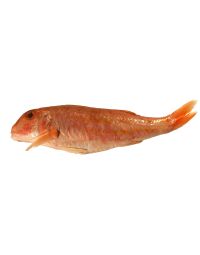 Red Mullet, Filleted, Fresh, 4 x 300-500g