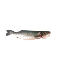 Sea Bass, Fresh, 1-2kg