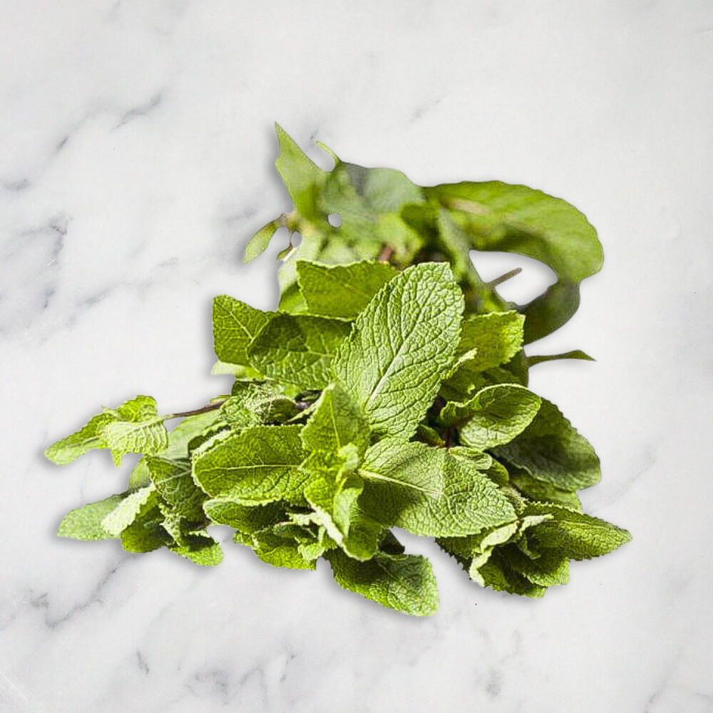 Premium Photo  Isolated of a Delicate Mint Leaf Showcasing Its