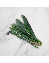 Cavolo Nero