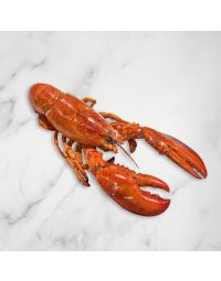 Cooked Lobster