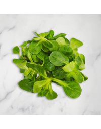 Lamb's Lettuce