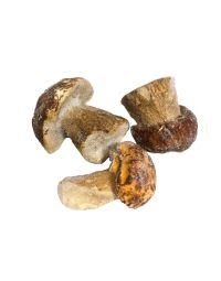 Small Whole Porcini, 'Bouchon', Frozen, 1kg