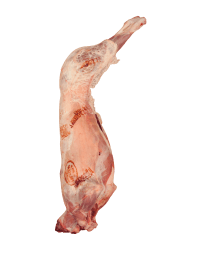 Buy Whole Pyrenees Lamb Online in London UK