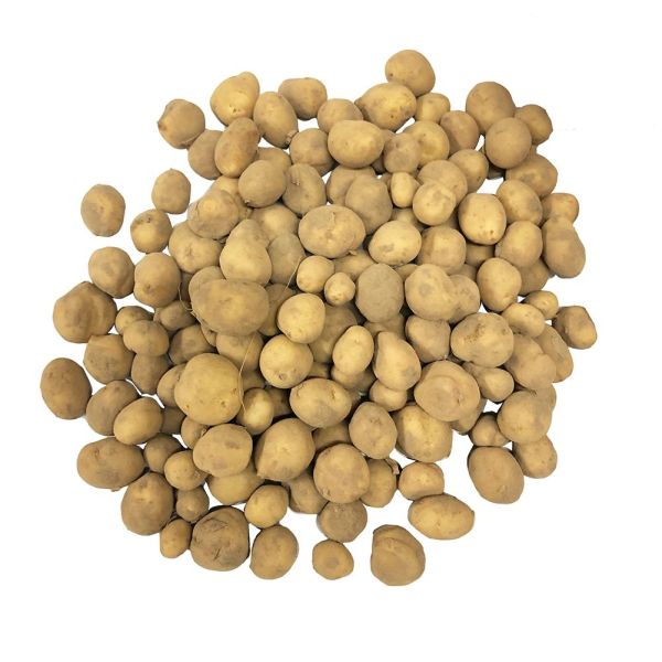 Buy Authentic Jersey Royals online at Fine Food Specialist