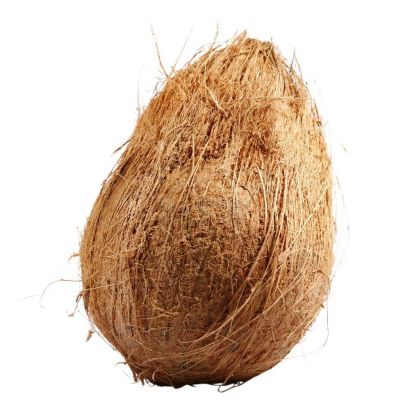 Coconut, Fresh x 5 