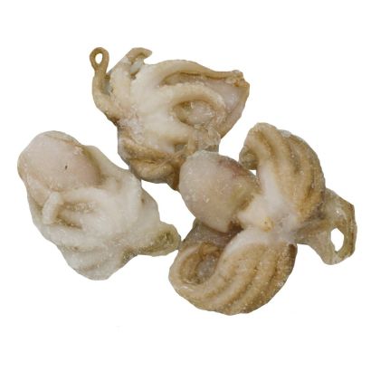 Baby Octopus, Frozen, 800g net. (40/60 per kg)